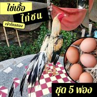 ไข่เชื้อไก่ชนเจ้าไกรทอง ชุด 5 ฟอง สำหรับฟัก