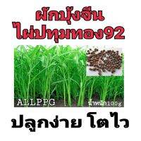 All23 เมล็ดพันธุ์ เมล็ดผักบุ้งจีน เมล็ดผักบุ้ง ไผ่ปทุมทอง92 ปลูกง่าย ปลูกได้ทั่วไทย