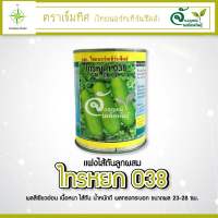 "ไทรหยก038" แฟงใส้ตันลูกผสม ขนาด 100 กรัม ติดผลดก ยาว 25-32 ซม. ทนโรค ทนแมลง