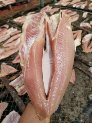 ปลาริวกิวแห้ง(ทูกัง)1กิโลกรัม