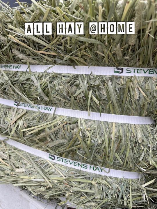 ล็อตใหม่เข้าไทย-แบรนด์-all-hay-ค่ะ-ทิมโมธีพรีเมียมหญ้าเขียวใหม่สวย-รับใหม่ทุกรอบนะคะ