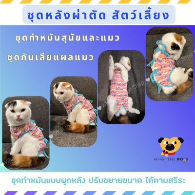 🇹🇭《พร้อมส่ง》🇹🇭 #ชุดหลังผ่าตัดสัตว์เลี้ยง #ชุดทำหมันสุนัขและแมว #ชุดกันเลียแผลแมว  #ชุดหมาแมวลายน่ารัก What the dogs