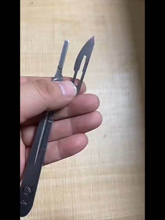 Veterinary Scalpel Surgical Set 10Pcs Carbon Steel Surgical Scalpel