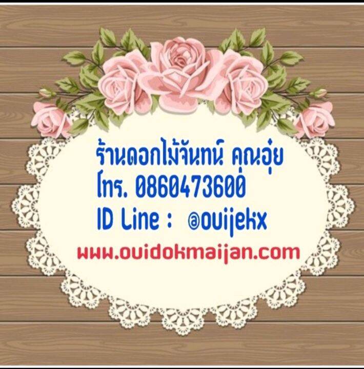 กระดาษเรียบ-สีชมพูเข้ม-กระดาษหนา-55-แกรม-ใช้ตัดกลีบดอก-และตัดไส้เกสร