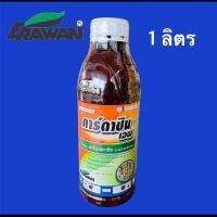 คาร์ดาซิน-เอฟ #คาร์เบนดาซิม (carbendazim) 50% SC ป้องกันกำจัดโรคพืช