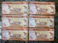 Sri Lankan banknote, year 2017, 100 rupees note, used condition but still beautiful. There are 6 tickets for sale in total.