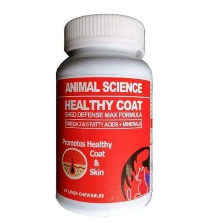 Animal Science Healthy COAT for Dogs 60 Chewable Tablet Lazada PH