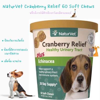 พร้อมส่ง NaturVet Cranberry Relief 60 Soft Chews dog 🐩 🐕 สำหรับน้องหมาปวดเบ่งเวลาปัสสาวะ, ลดความเสี่ยงการเกิดนิ่ว