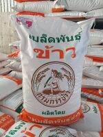 เมล็ดพันธุ์ข้าวจ้าว ปทุมธานี 1 กรมการข้าว ชั้นจำหน่าย แพร่