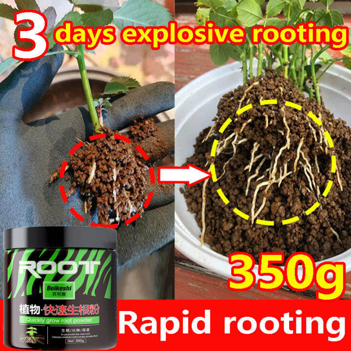 【Rapid rooting】Rooting Hormone Powder 1000g rooting powder rapid growth