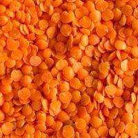 Masoor dal split, 500g, 1kg, Red split lentil, from india