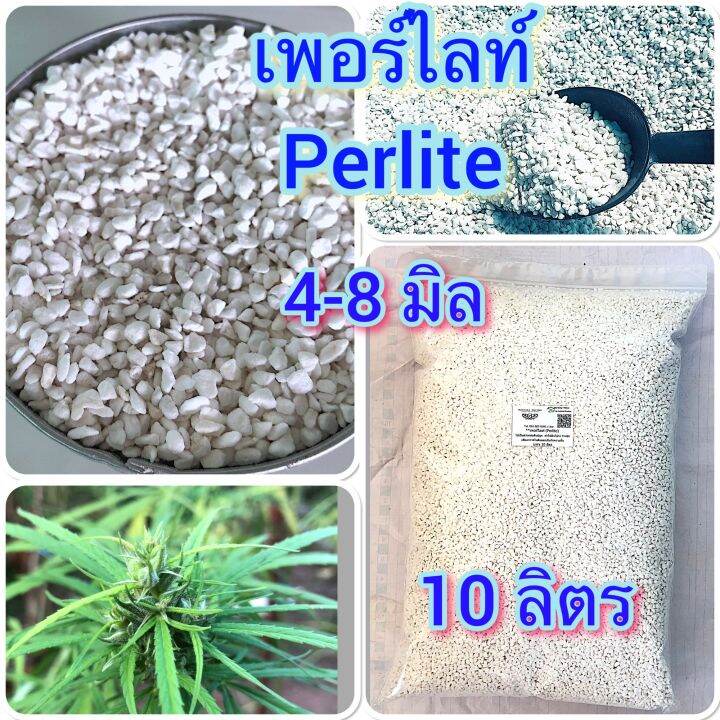 เพอร์ไลท์-perlite-ถุงใหญ่-10-ลิตร-สุดคุ้ม