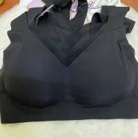 sabina seamless bra sbxk119  เสื้อชั้นในไร้โครง ทรงตะขอหลัง ใส่สบาย ผ้านิ่ม กระชับไม่ปวดหลัง