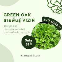 เมล็ดพันธ์ุกรีนโอ๊ค Green oak vizir