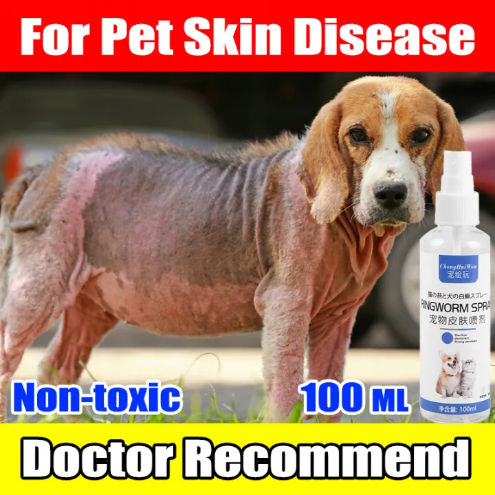 🐱Pet skin treatment spray 🐶 Pet antibacterial spray tick and flea spray