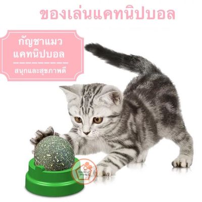 กัญชาแมว แคทนิปบอล ติดกำแพง ไม่กลิ้งหาย catnip ball  ของเล่นแมว อุปกรณ์สัตว์ สำหรับแมว