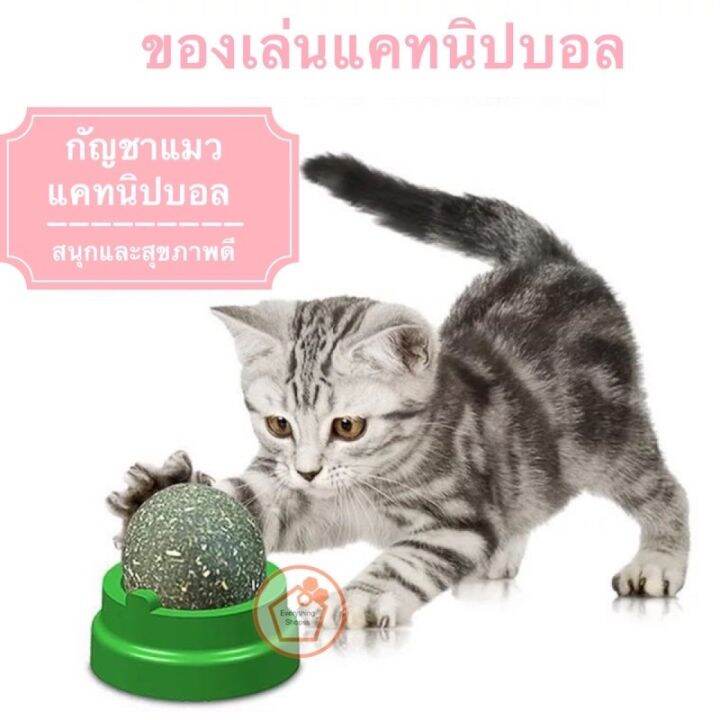 กัญชาแมว-แคทนิปบอล-ติดกำแพง-ไม่กลิ้งหาย-catnip-ball-ของเล่นแมว-อุปกรณ์สัตว์-สำหรับแมว