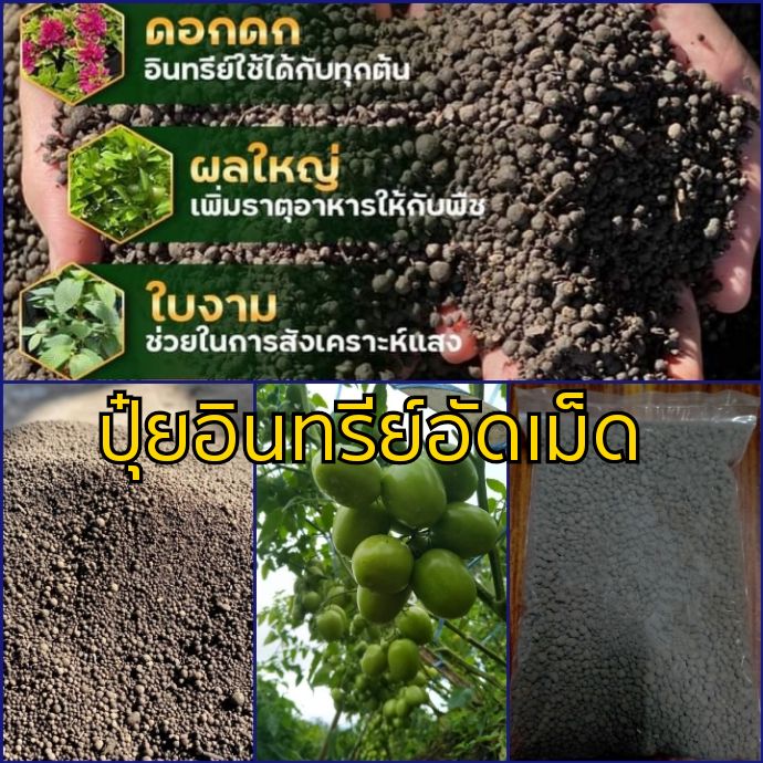 ปุ๋ยหมักอัดเม็ด-ขนาด1กก