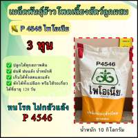 ไพโอเนีย 4546 ?เมล็ดพันธุ์ข้าวโพดเลี้ยงสัตว์ลูกผสม? เม็ด 3 หุน ขนาด 10 กิโลกรัม