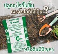 G Soil ดินดี รากดีพืชผลก็สวยงาม สารปรับปรุงดินช่วยปรับสภาพดินให้กลับมาร่วนซุย รากพืชดูดซึมอาหารได้ดีปรับโครงสร้างดินให้เหมาะแก่การปลูกพืชทุกชนิด(แบ่งขาย1กิโลละ50บาท)