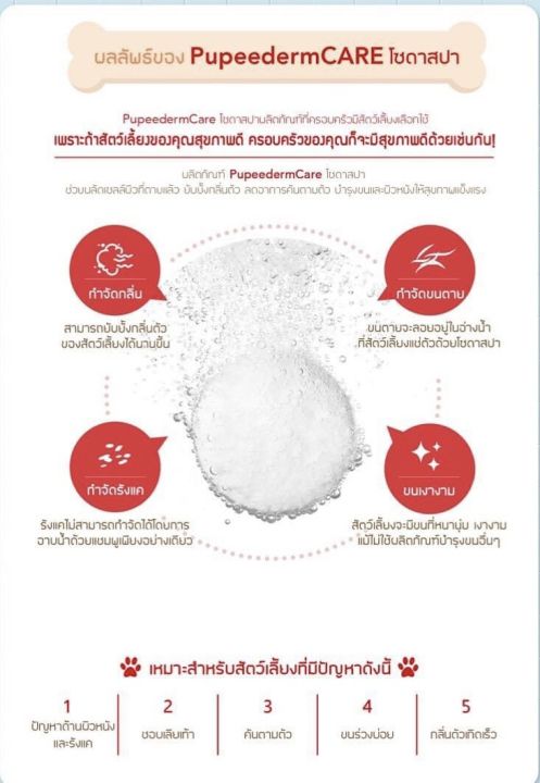 โซดาสปา-สปาสัตว์เลี้ยง-pupeederm-care-soda-spa