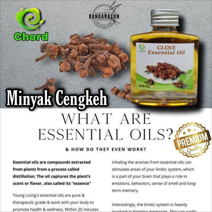 Minyak Cengkeh / Clove Oil Essential Oil Original Murni 100% 50ML ...