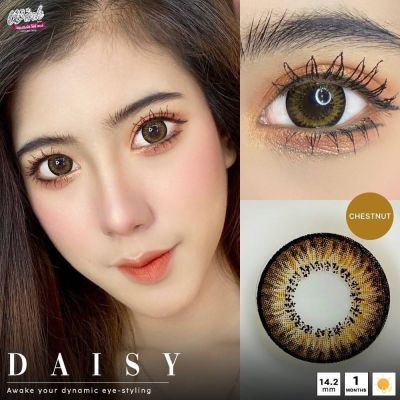 คอนแทคเลนส์ Wink Lens Daisy(Gray,Brown,Blue,Black) ค่าสายตา 0.00 ถึง -10.00