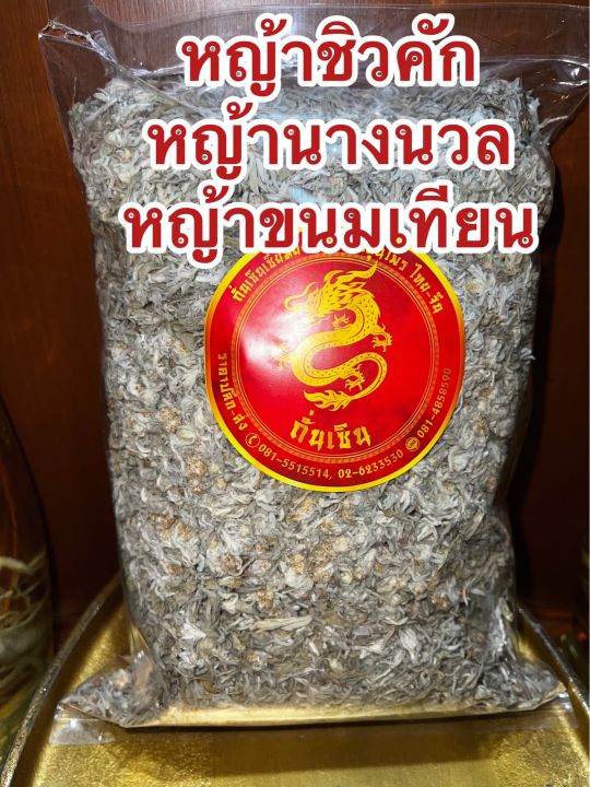 หญ้าชิวคัก-หญ้านางนวล-หญ้าขนมเทียน-สำหรับนำไปทำขนมเทียน-หญ้าฉื่อคัก-ดอกฉื่อคัก-ดอกดิน-บรรจุ500กรัมราคา390บาท