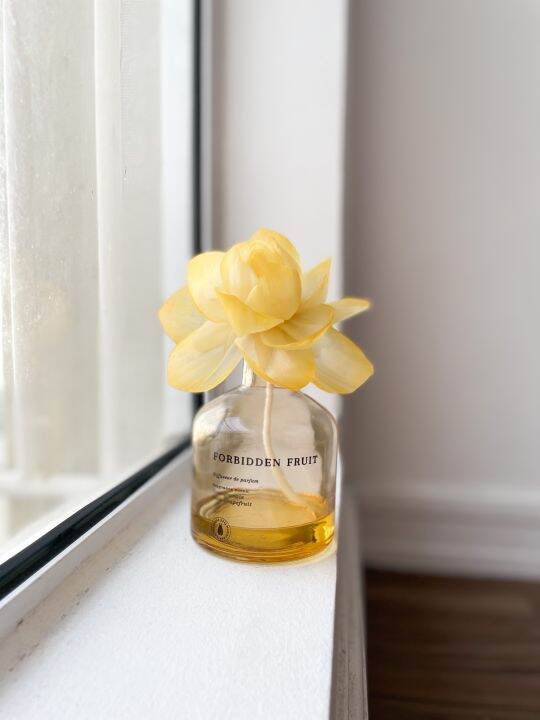 Sola Flower Diffusers with Cotton Rope | Lazada PH