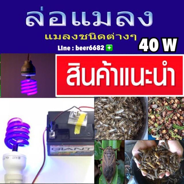 หลอดไฟล่อแมลง-ระบบ-ต่อแบเตอรี่-พร้อมปากคีบพร้อมใช้งาน-กำลังไฟ-40-วัตต์