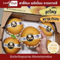 สาลี่หิมะแท้ พรีเมี่ยม จากเกาหลี กล่องละ 5 ลูก ลูกใหญ่ หวาน กรอบ ฉ่ำน้ำ