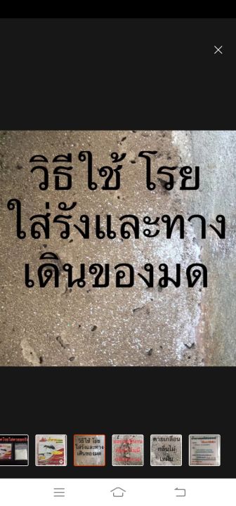 มหัศจรรย์-น้ำตาลมด-ผงกำจัดมด-ตรา-บ้านไทย-เพียงเเค่โรยใส่รังมด-หรือทางเดินของมด-เพียงเเค่นี้มดก็จะหมดไป-1-ซอง-ขนาด-20-กรัม