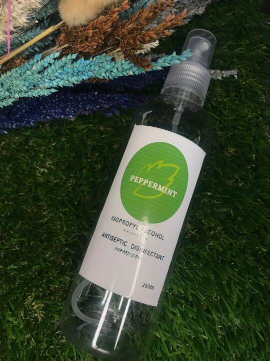 70 Isopropyl Alcohol 250 ml Peppermint Lazada PH