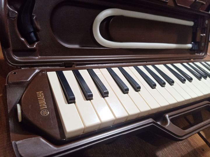 YAMAHA PIANICA P-37C (JAPAN VINTAGE) | Lazada PH