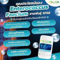 ?พอลลิทรักซ์ Pollitrux​ ?​กรดไหลย้อน โรคกระเพาะ ลำไส้ ท้องผูก ริดสีดวง พรีไบโอติกส์​ prebiotic ปรับระบบย่อย​ ดูดซึม​ขับถ่าย พอลลิติน Pollitin พอลลิตินของแท้ อาหารเสริม​พอ​ลลิ​ติน​