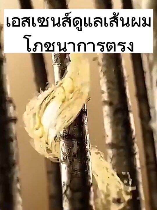 ทําทรงผมตรงด้วยตัวเองที่บ้าน！PIBAMY ครีมยืดผม 260ml ยืดผมตรงใน 10นาที ...