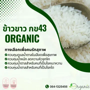 ข้าวสาร กข43 ราคาถูก ซื้อออนไลน์ที่ - มิ.ย. 2023 | Lazada.Co.Th