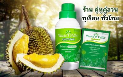 เวิลด์แพลนท์ ไคโตซาน ชุดคู่หู (ซื้อ2ลัง แถมฟรี1ลัง รวมทั้งหมด36ชุด) - World plant chitosan - ปุ๋ยน้ำสูตรโอลิโกเมอร์