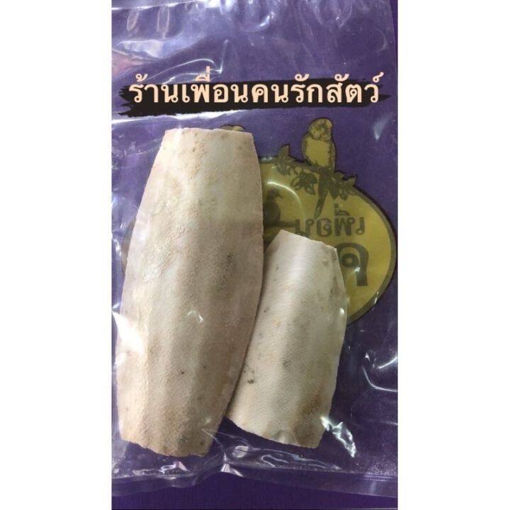 ถูกที่สุด-กระดองหมึก-ลิ้นทะเล-กระดองปลาหมึก-พร้อมส่ง