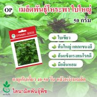 เมล็ดพันธุ์โหระพา ใบใหญ่ ตรา ใบไม้ ขนาด 50 กรัม จำนวน 1 ซอง จาก ไดนามิคพันธุ์พืช Sweet Basil seeds (Baiyai) 50 grams from Dynamic Seeds