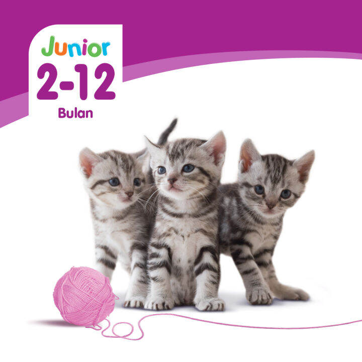 WHISKAS Junior Makanan Basah Kitten Kemasan Pouch (7Pack), 80g