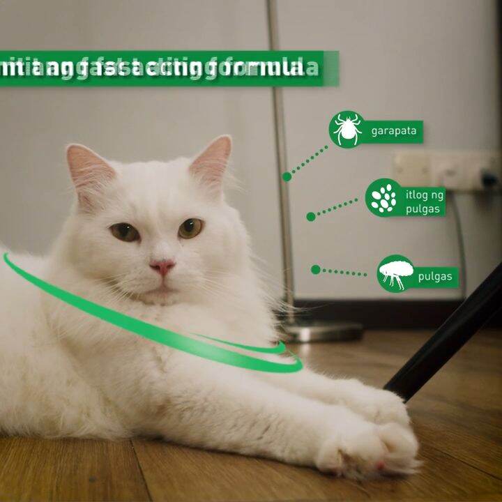 Frontline for Cats Tick and Flea Spot Treatment (Per Vial) Repellent AntiFlea AntiItching