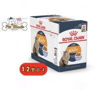 Royal Canin jelly Intense Beauty Pouch 85 g. x 12 โรยัล คานิน อาหารแมวแบบเปียกชนิดซอง เจลลี่ สูตรบำรุงขนและผิวหนัง ขนาด 85 ก. (12 ซอง)