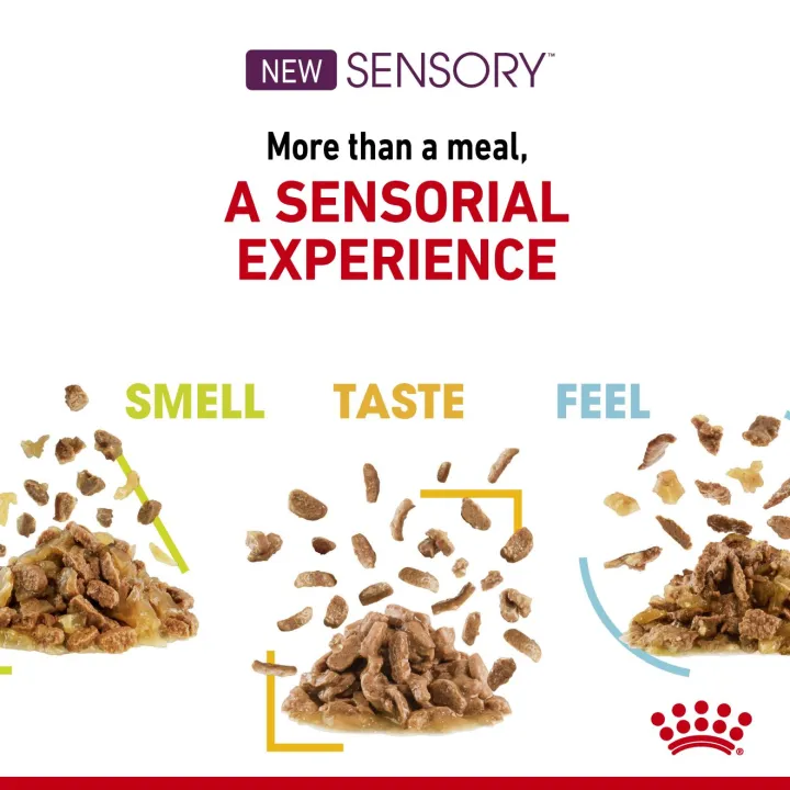 12ซอง-royal-canin-sensory-gravy-อาหารเปียกสำหรับแมวโต-อาหารแมวโตช่างเลือก