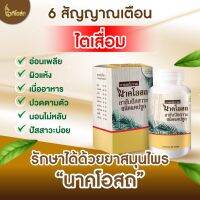 (KPL 01) NAKAOSOT นาคโอสถ ผลิตภัณฑ์ธรรมชาติ การทำงานของไต สุขภาพไตที่ดี ไตที่เสื่อมโทรม ล้างขับของเสียออกจากร่างกาย จากพืชธรรมชาติ(ชุด 2 กระปุก)