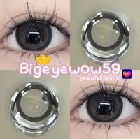 ถูกสุด ส่งของทุกวัน ลาย Sakura/charm brown,gray ขนาดบิ๊กอาย bigeye ใส่สบายค่าอมน้ำสูงมีอย.