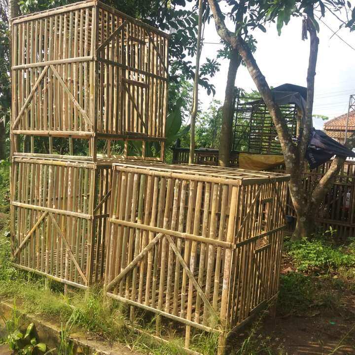 Kandang Ayam Jago, Kandang kelinci, Kandang Ternak Bongkar Pasang