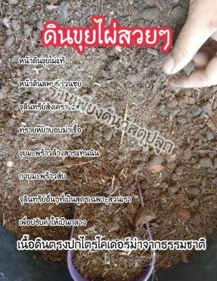 ถุงละ 2 กิโลซื้อ 5 ถุงแถมฟรี 1 ถุง (05) ดินขุยไผ่ผสม สูตรนี้ปลูกไม้ด่างได้ ดินปลูกต้นไม้ ดินปลูกไม้ใบ ดินสวยตรงปก ดินราคาถูก  มูลไส้เดือน ปุ๋ยอินทรีย์ ไม้ด่าง ไม้กระแส บอนสี บอนกระดาด