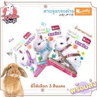 (พร้อมส่ง)สายจูงกระต่าย ยี่ห้อJolly ปรับขนาดให้เข้ากับตัวน้องได้ค่ะ