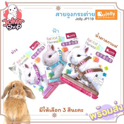 (พร้อมส่ง)สายจูงกระต่าย ยี่ห้อJolly ปรับขนาดให้เข้ากับตัวน้องได้ค่ะ